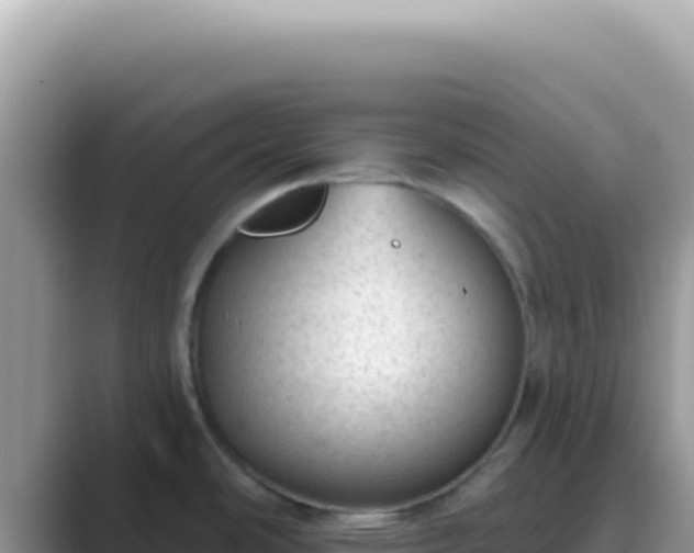 X0000089861486200707051124