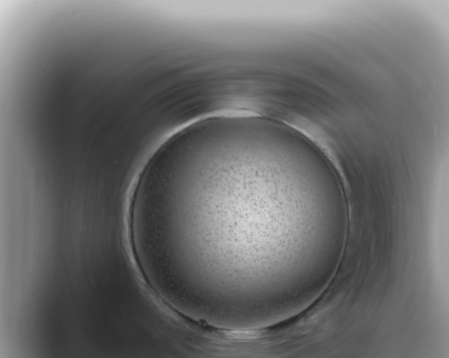X0000089861488200707051124