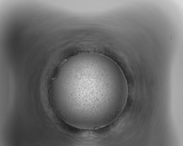X0000089861489200707051124