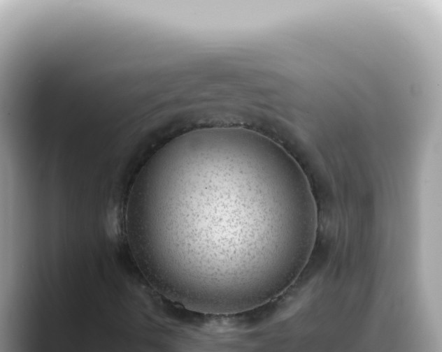 X0000089861490200707051124