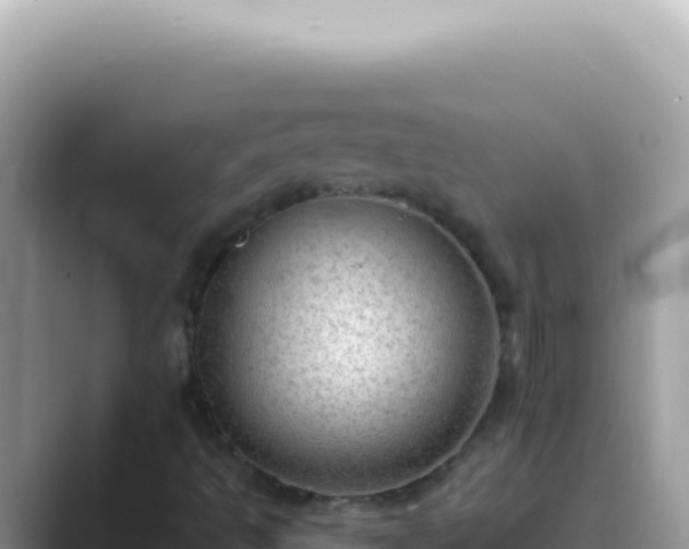 X0000089861493200707051124