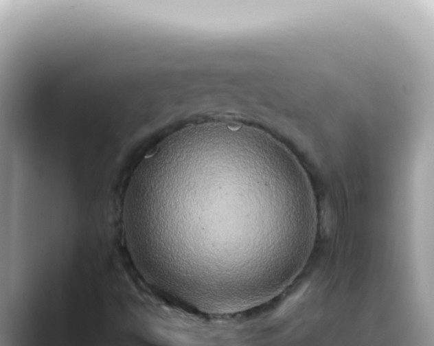 X0000089861494200707051124
