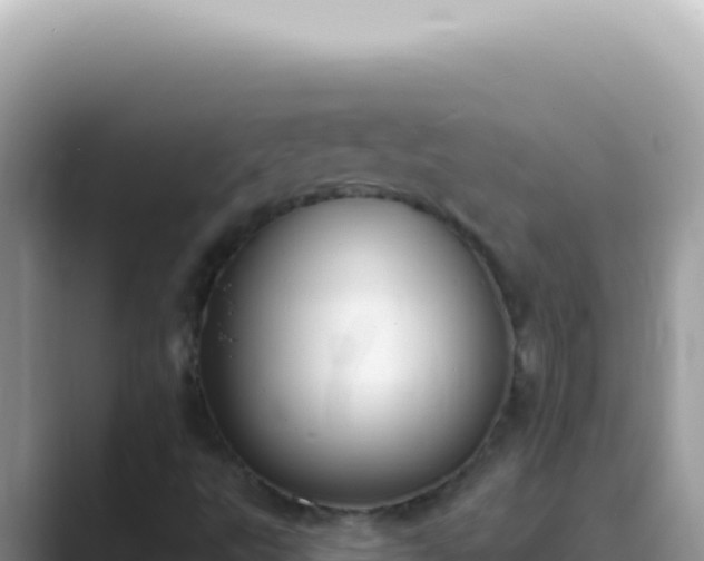 X0000089861495200707051124