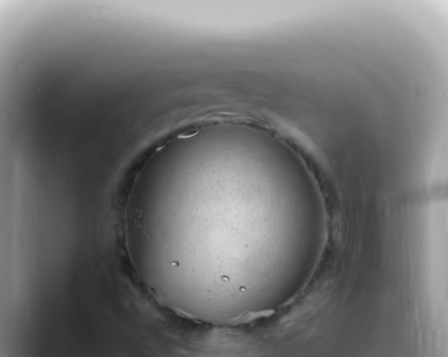 X0000089861496200707051124