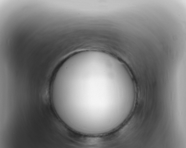 X0000089861498200707051124