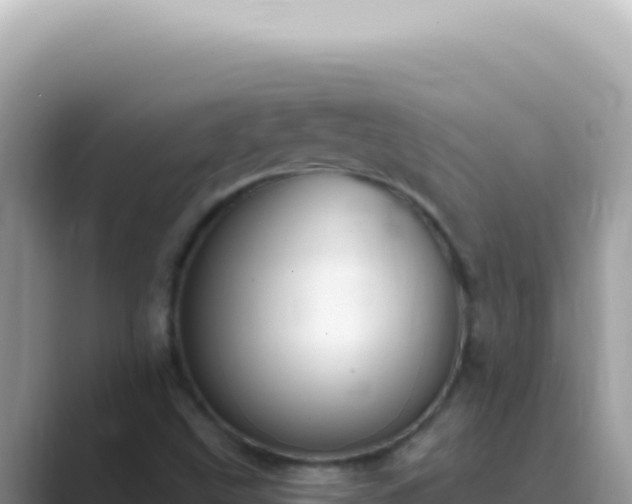 X0000089861499200707051124