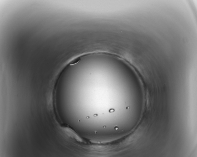 X0000089861500200707051124