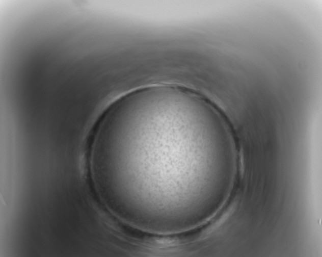 X0000089861501200707051124