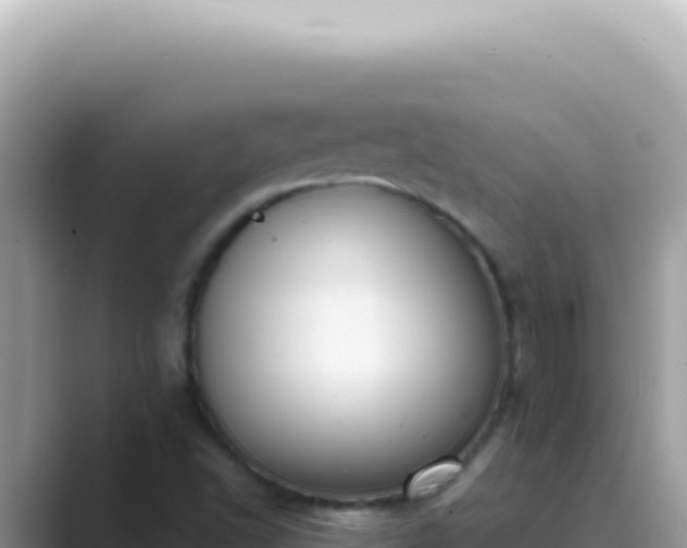 X0000089861502200707051124