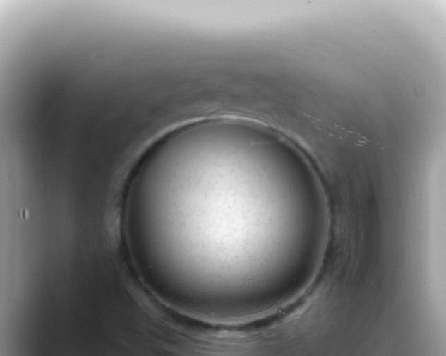 X0000089861503200707051124