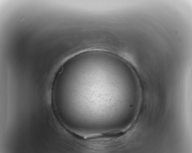 X0000089861504200707051124