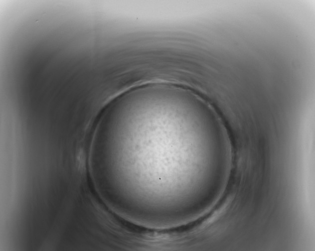X0000089861505200707051124