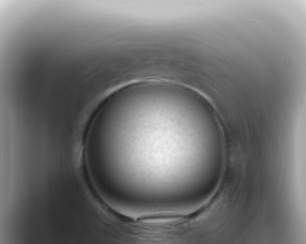 X0000089861507200707051124