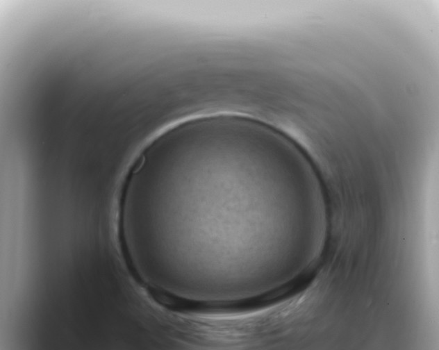 X0000089861508200707051124