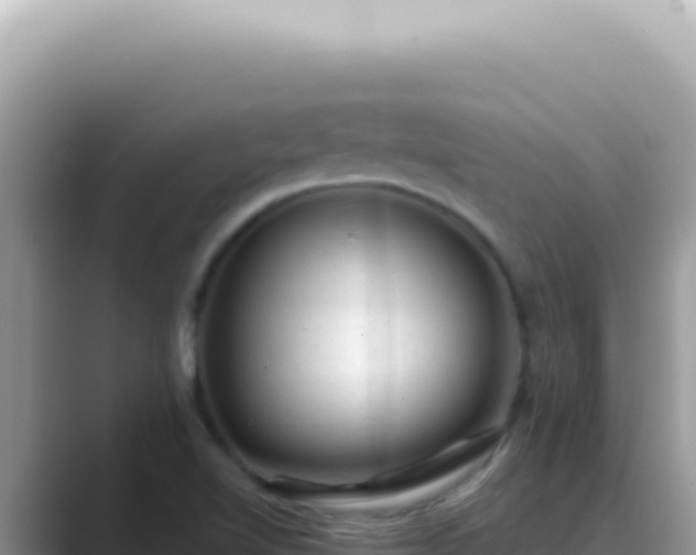 X0000089861510200707051124
