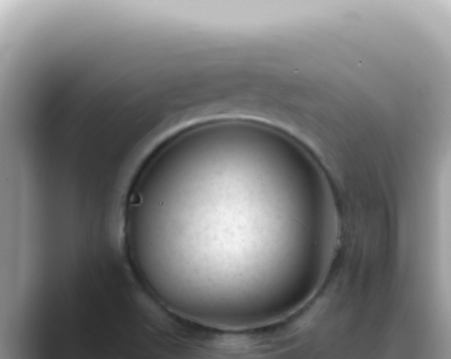 X0000089861511200707051124