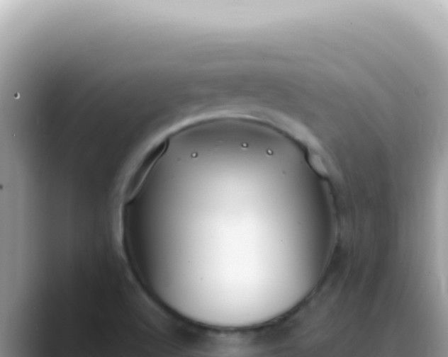 X0000089861512200707051124