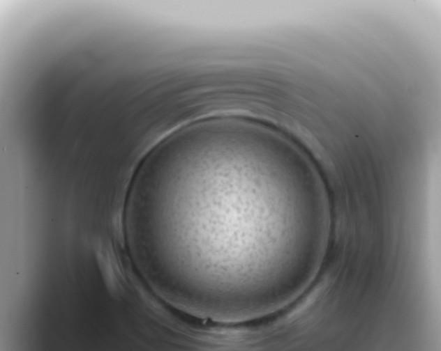 X0000089861513200707051124