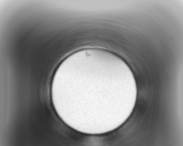 X0000089861514200707051124