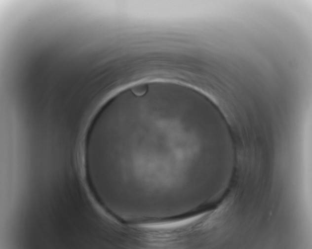 X0000089861515200707051124