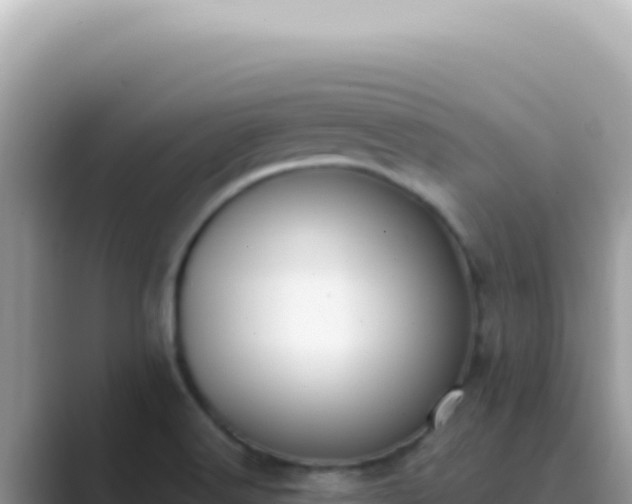 X0000089861516200707051124