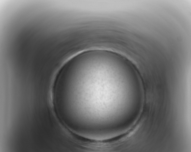 X0000089861517200707051124