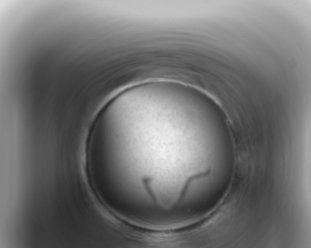 X0000089861523200707051124