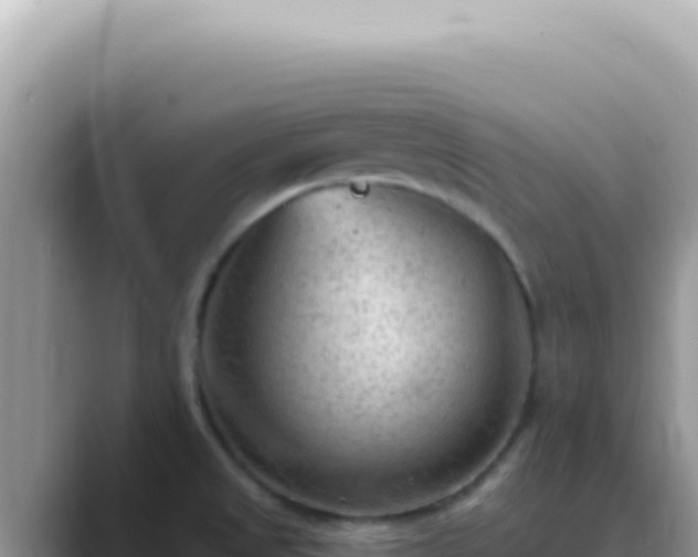 X0000089861525200707051124