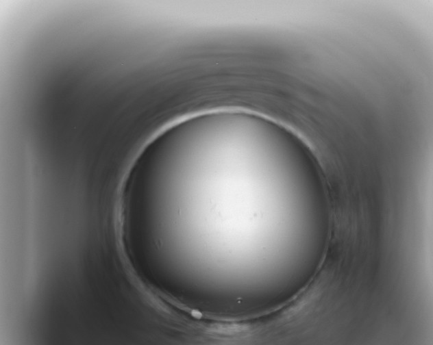 X0000089861526200707051124