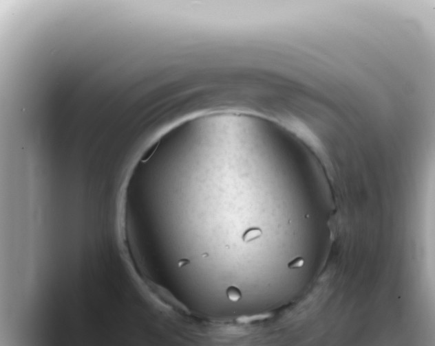 X0000089861528200707051124