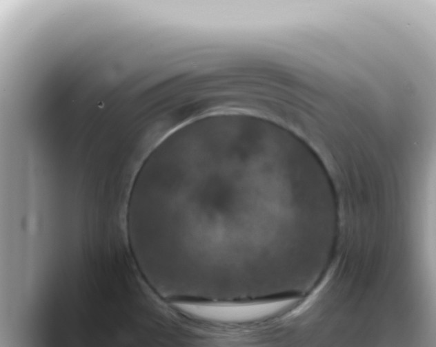 X0000089861529200707051124