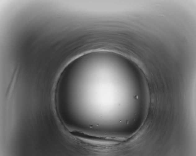 X0000089861530200707051124