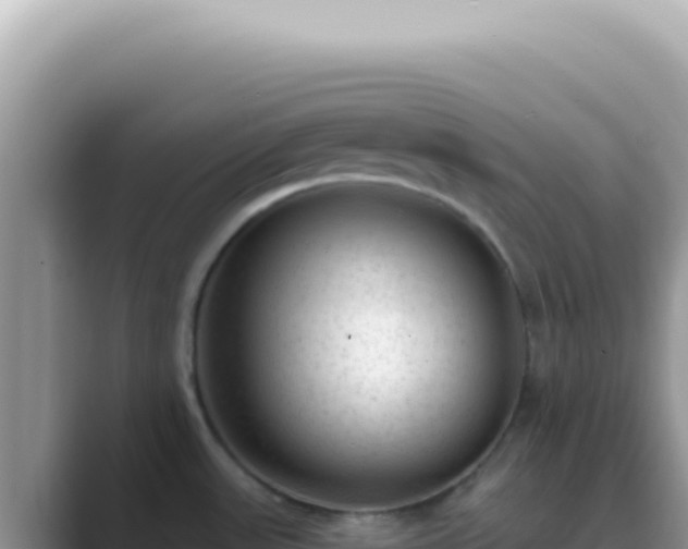 X0000089861531200707051124