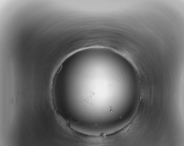 X0000089861532200707051124