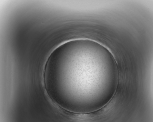 X0000089861534200707051124