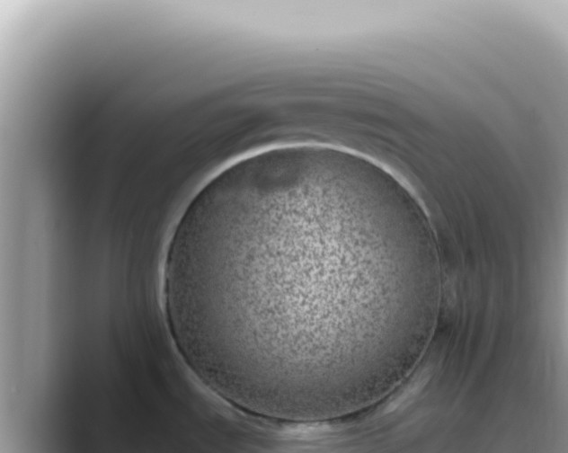 X0000089861535200707051124