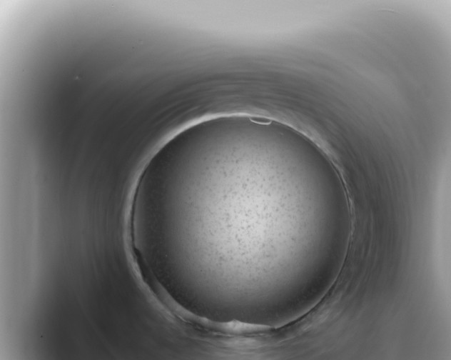 X0000089861536200707051124
