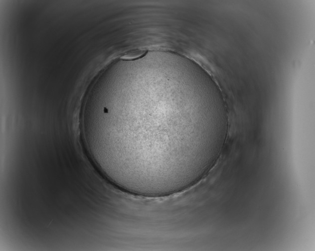 X0000089860002200707121744