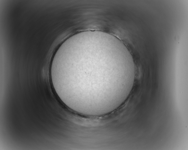 X0000089860004200707121744