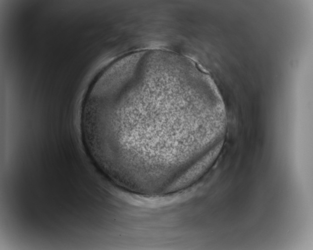 X0000089860006200707121744