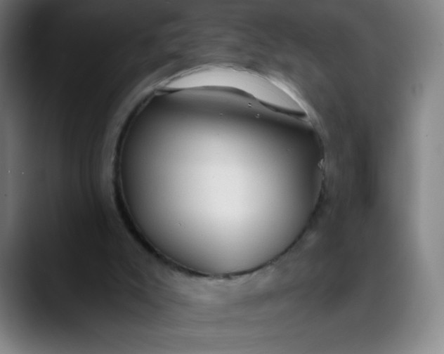 X0000089860007200707121744