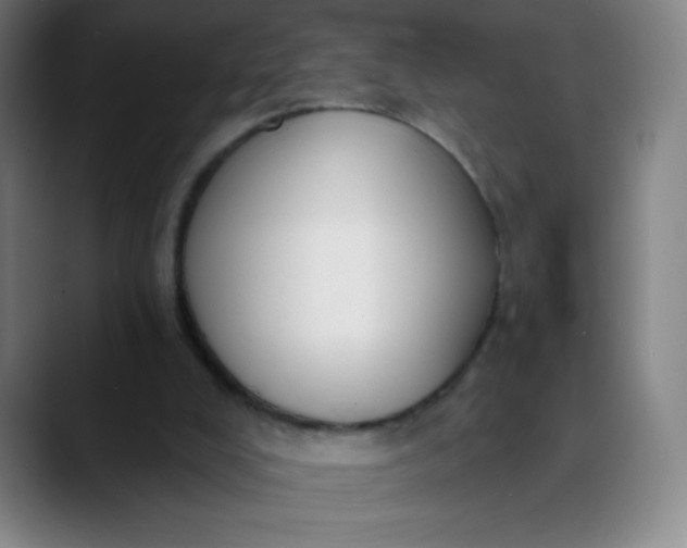 X0000089860008200707121744