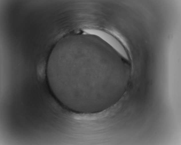 X0000089860009200707121744