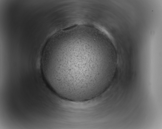 X0000089860010200707121744