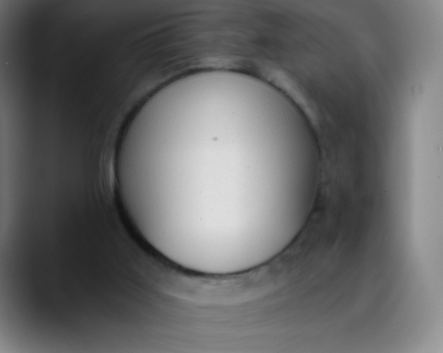 X0000089860011200707121744