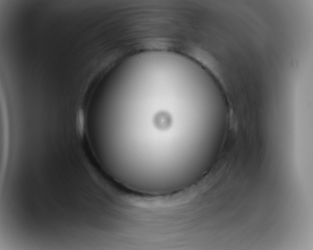 X0000089860013200707121744