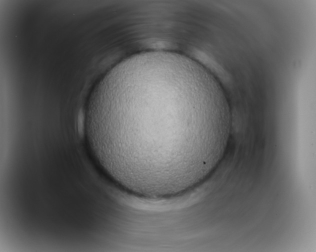 X0000089860014200707121744