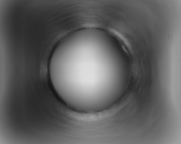 X0000089860015200707121744