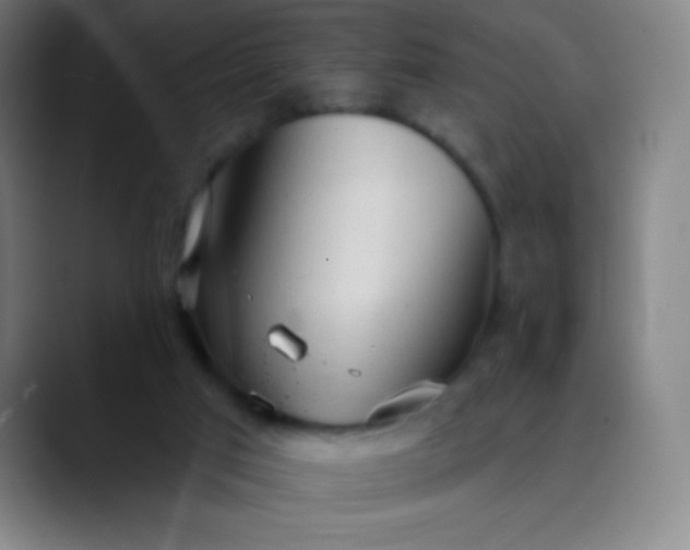 X0000089860017200707121744