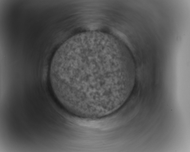 X0000089860018200707121744